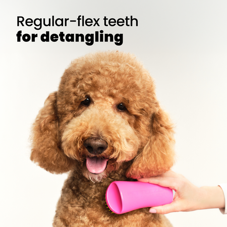 tangle-teezer-detangling-dog-grooming-brush-brosse-d-m-lante-pour-chien image 3