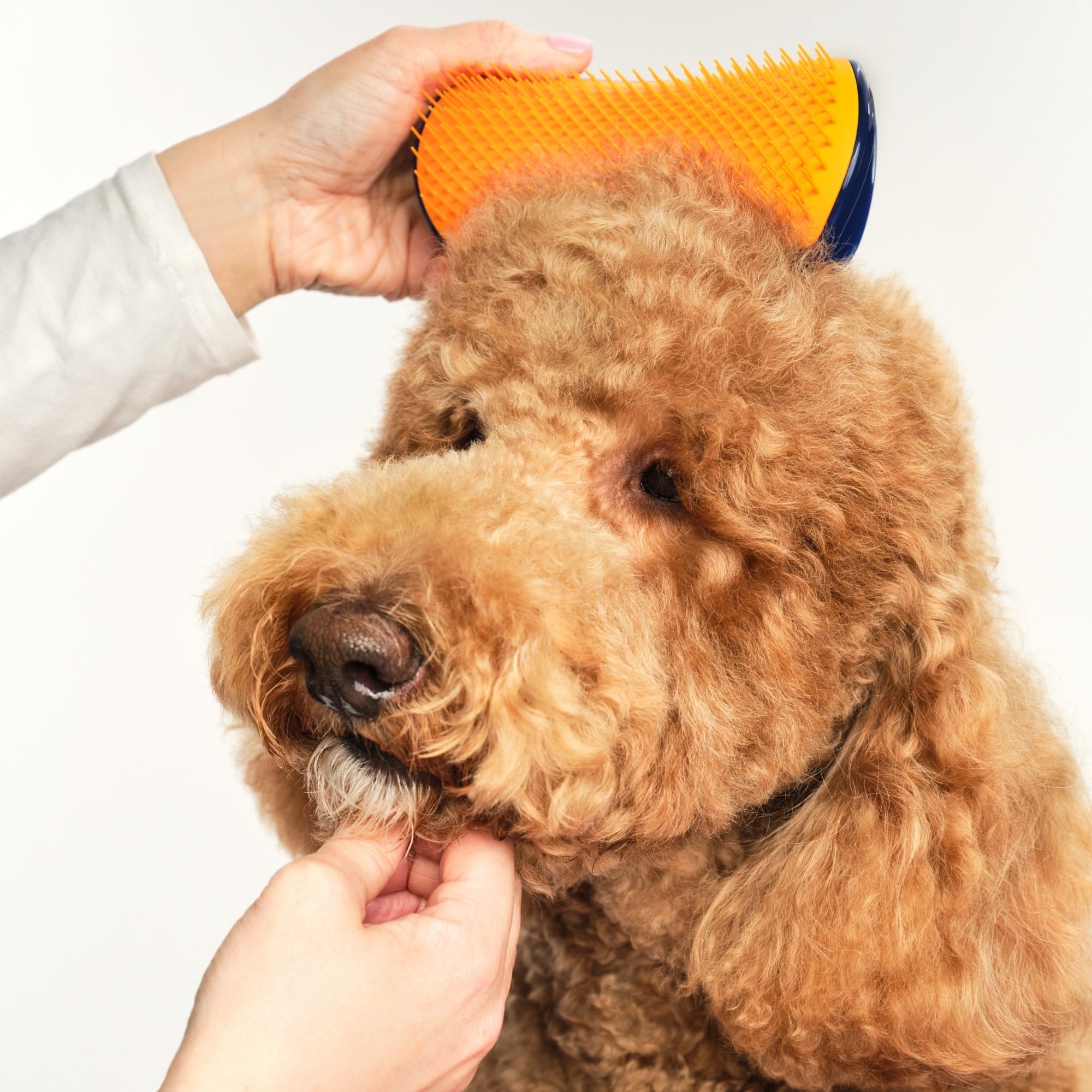 tangle-teezer-pet-teezer-grande-brosse-d-m-lante-chien-bleu-marine-et-orange image 3
