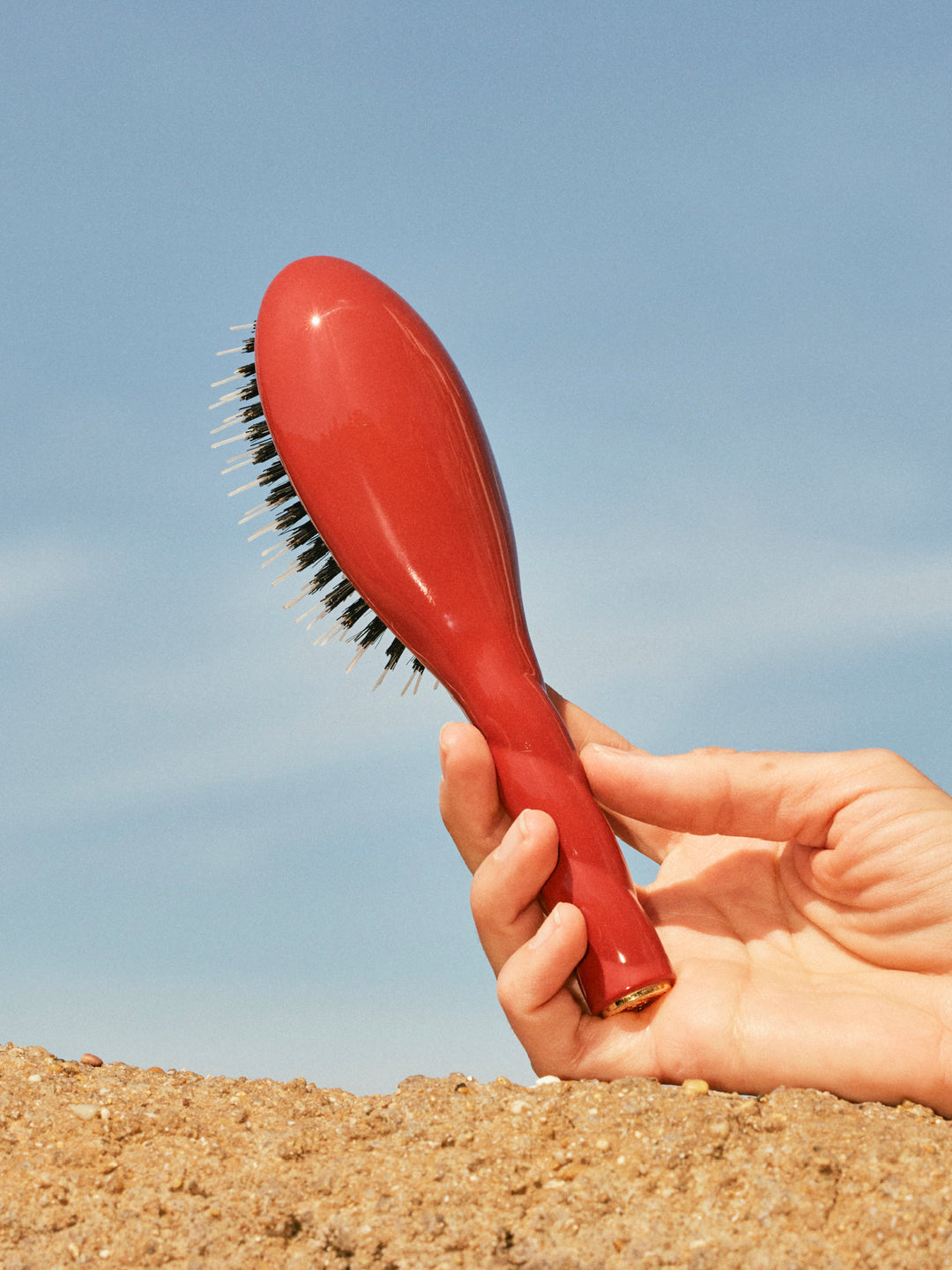 la-bonne-brosse-n-02-la-petite-brosse-d-m-lante-soin-l-indispensable-terre-battu image 2
