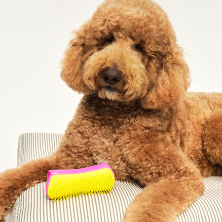 tangle-teezer-detangling-dog-grooming-brush-brosse-d-m-lante-pour-chien image 5