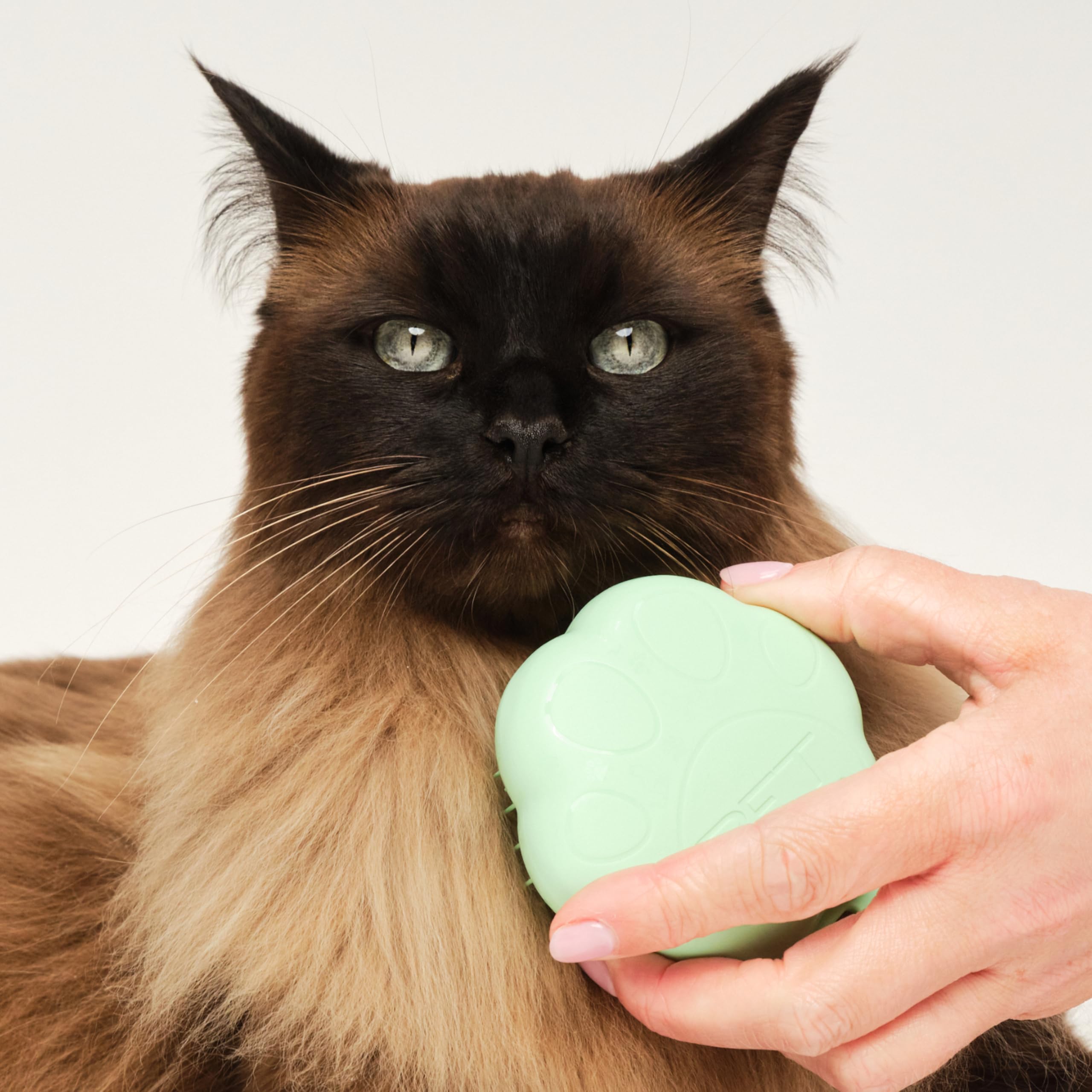 tangle-teezer-pet-teezer-cat-brosse-de-toilettage-pour-chat-poils-courts-mi-long image 5