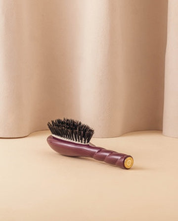 la-bonne-brosse-n-01-la-petite-brosse-brillance-soin-l-universelle-aubergine-dit image 5