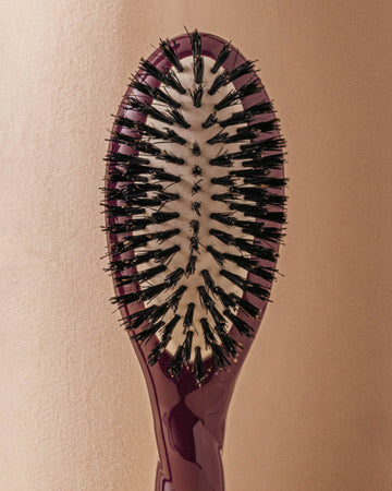 la-bonne-brosse-n-01-la-petite-brosse-brillance-soin-l-universelle-aubergine-dit image 4