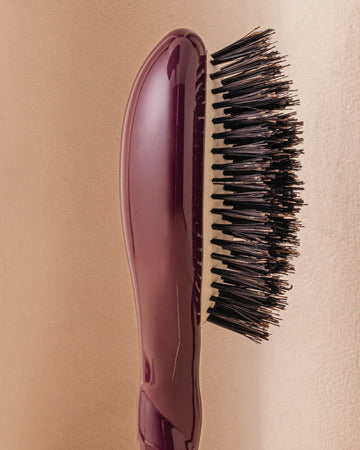 la-bonne-brosse-n-01-la-petite-brosse-brillance-soin-l-universelle-aubergine-dit image 3