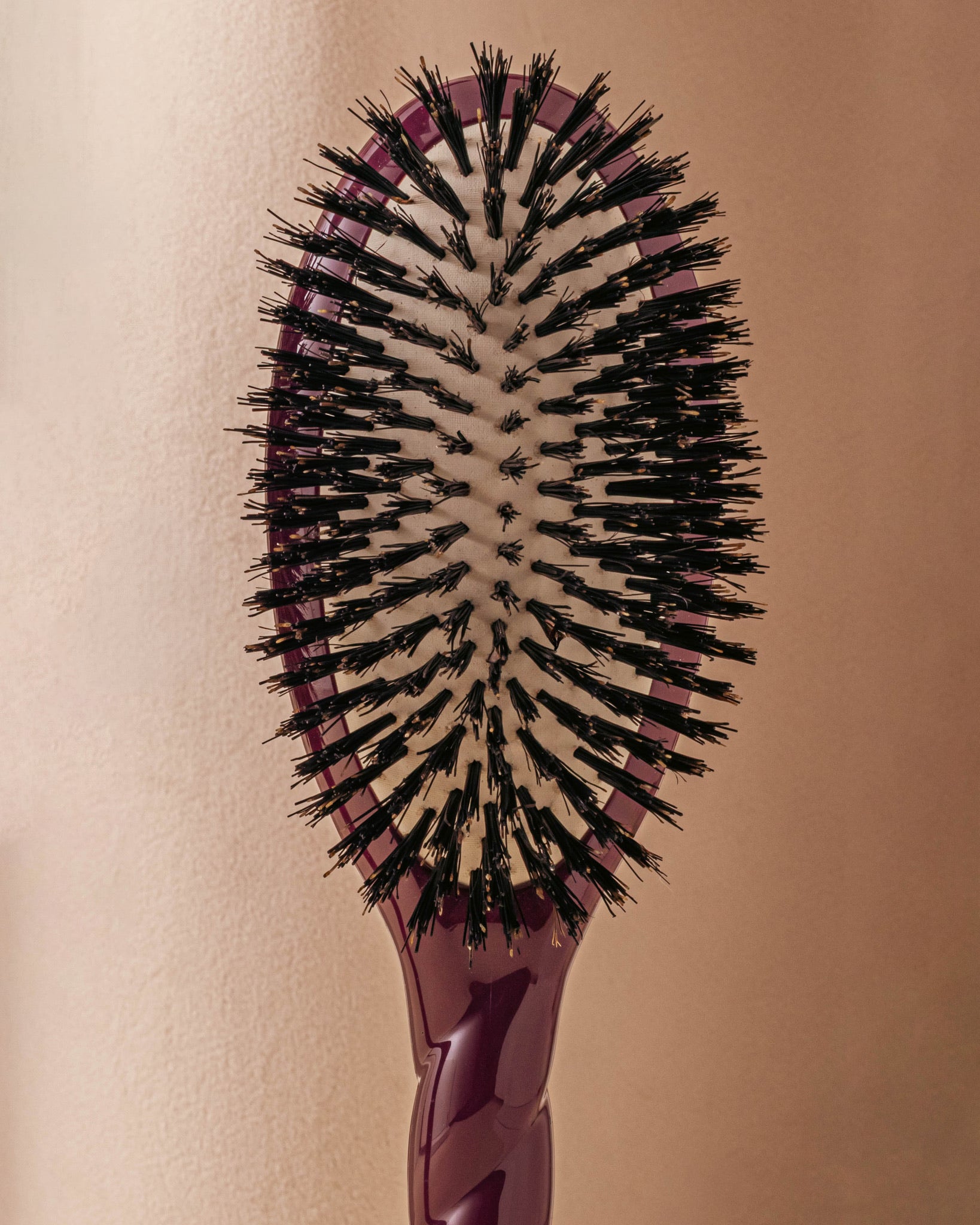 la-bonne-brosse-n-01-la-brosse-brillance-soin-l-universelle-aubergine-grande-21- image 4