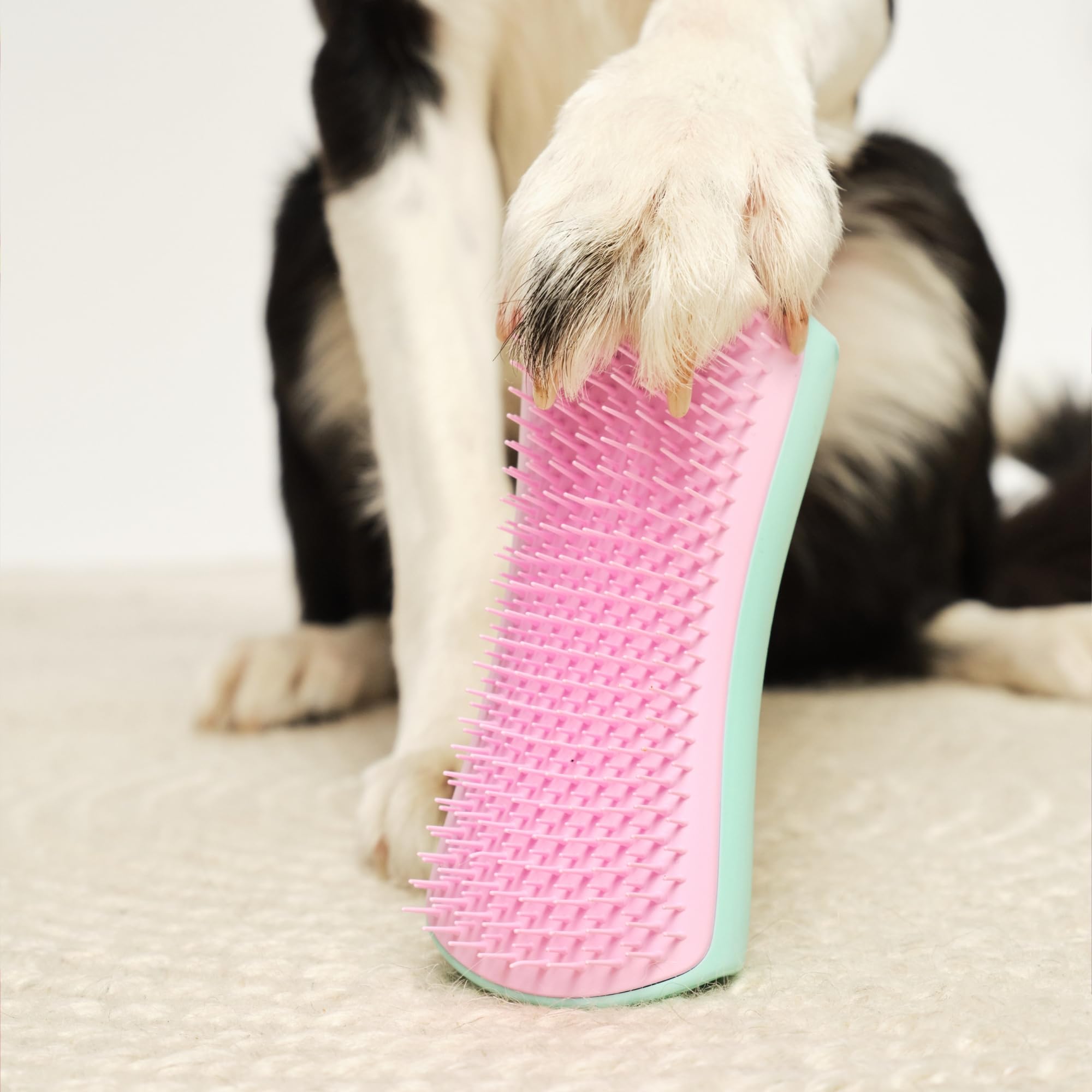 tangle-teezer-pet-teezer-menthe-et-rose-brosse-toilettage-chien image 7