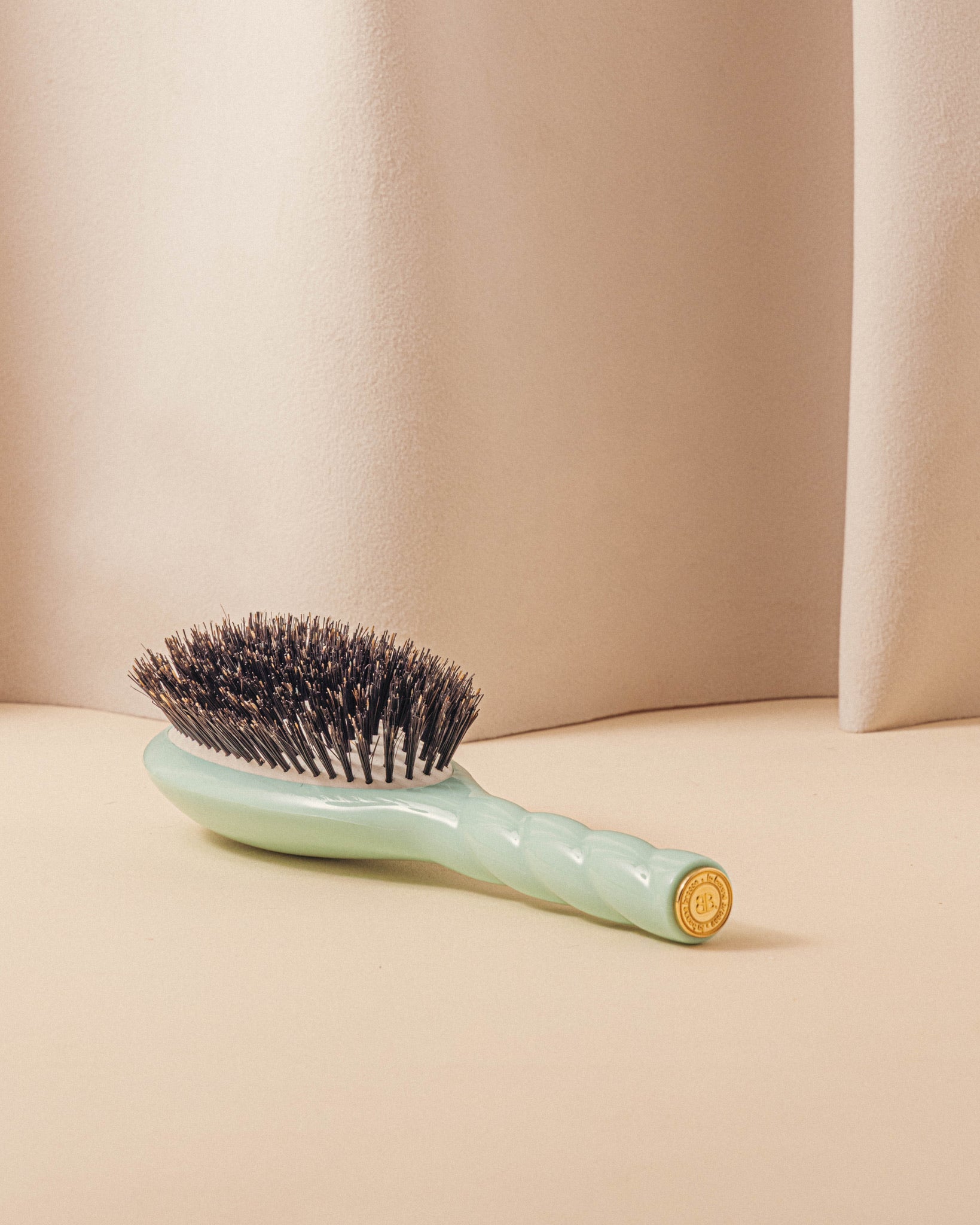 la-bonne-brosse-n-01-la-brosse-brillance-soin-l-universelle-dition-limit-e-bleu- image 5