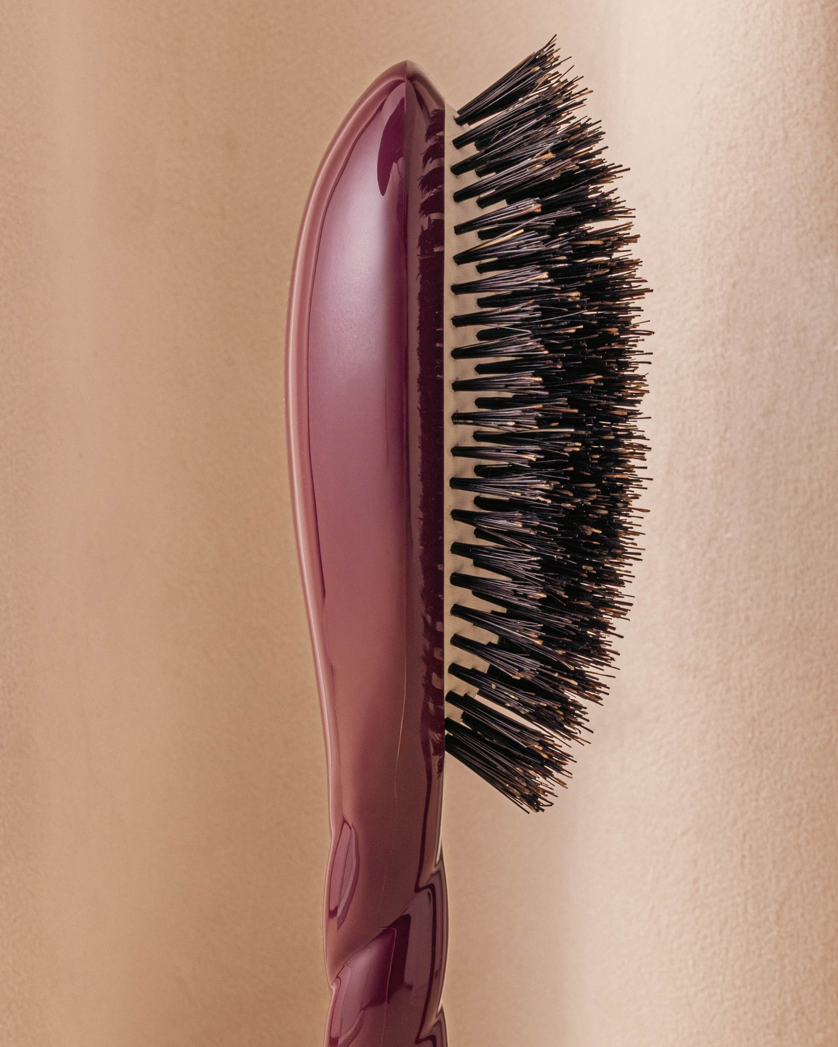 la-bonne-brosse-n-01-la-brosse-brillance-soin-l-universelle-aubergine-grande-21- image 3