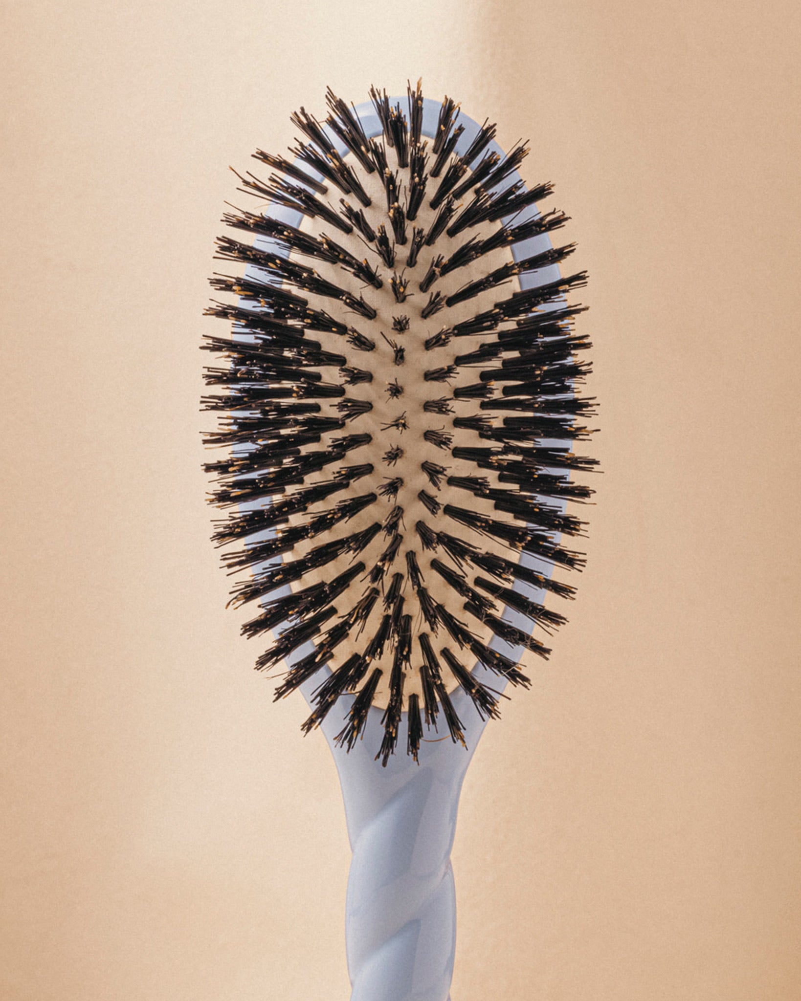 la-bonne-brosse-n-01-la-brosse-brillance-soin-l-universelle-bleu-ciel image 4
