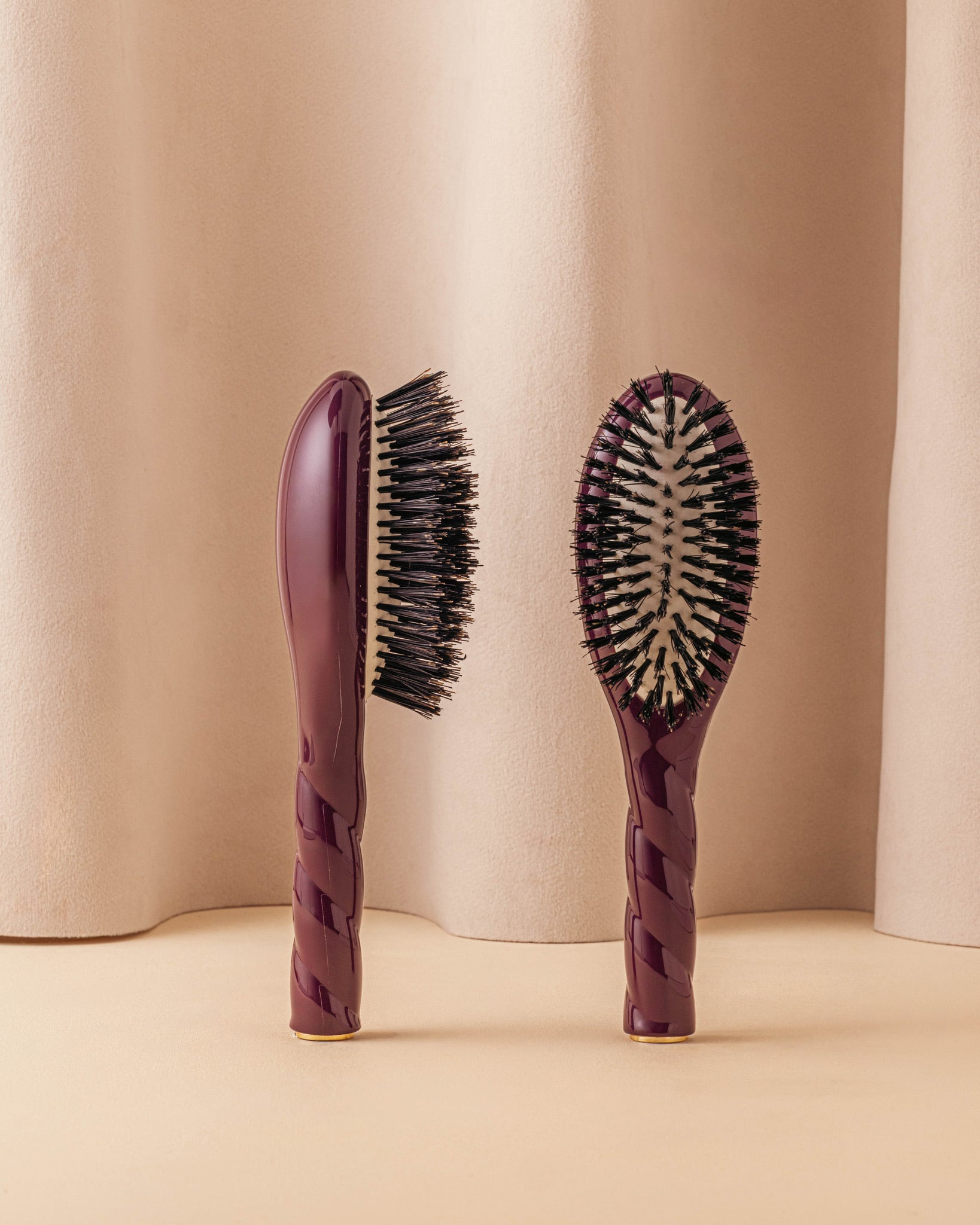 la-bonne-brosse-n-01-la-petite-brosse-brillance-soin-l-universelle-aubergine-dit image 1