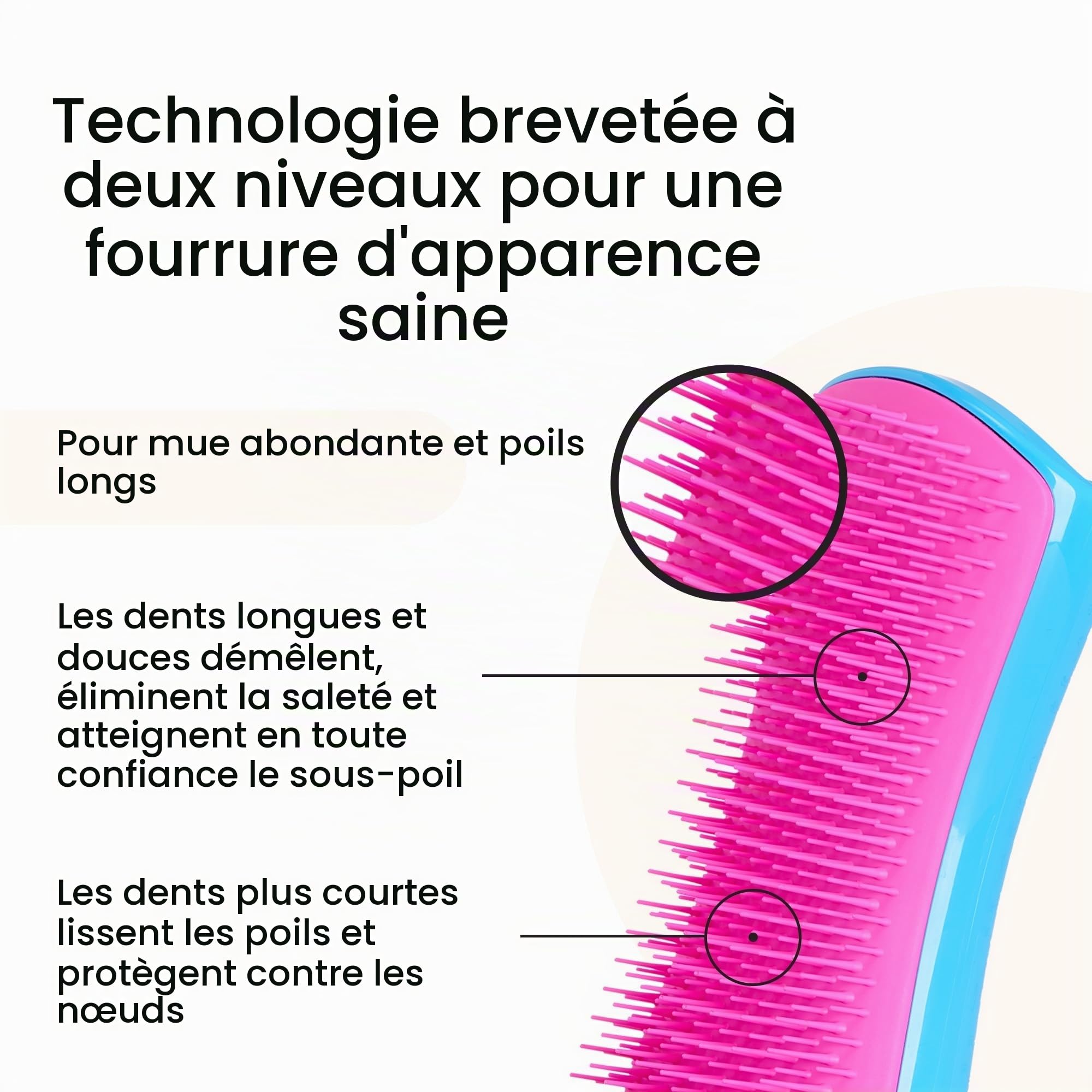 tangle-teezer-pet-teezer-grande-brosse-toilettage-chien-bleu-et-rose image 2