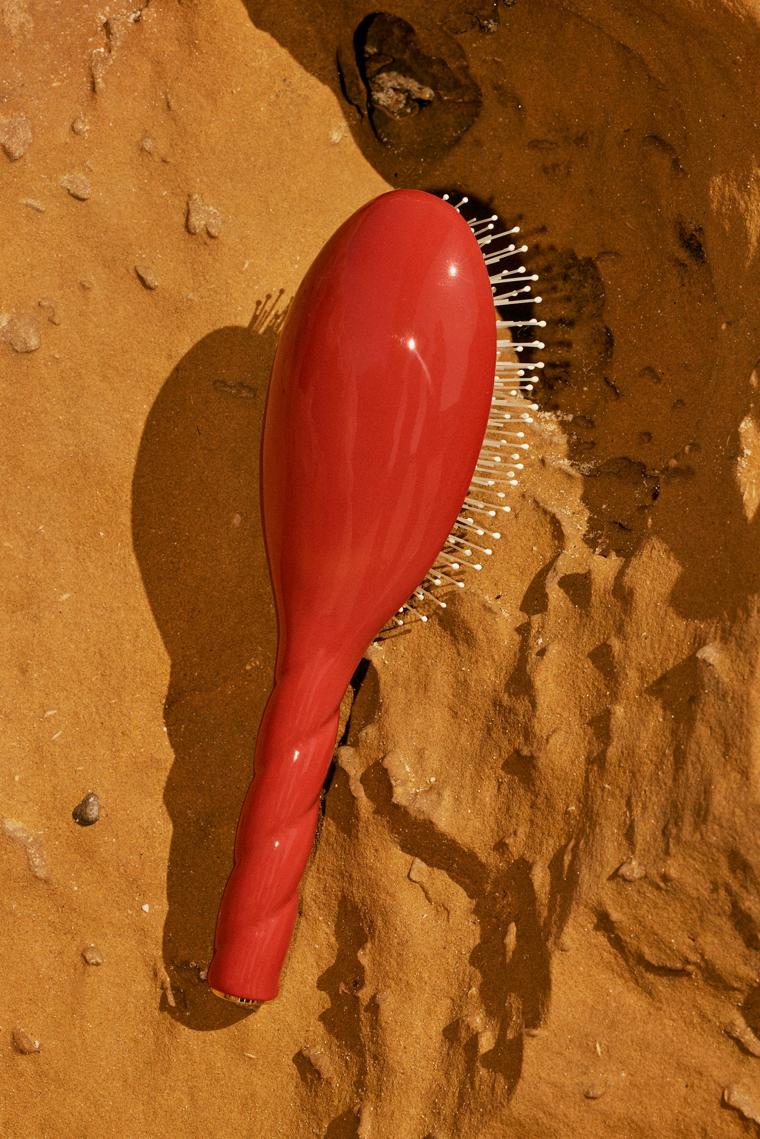 la-bonne-brosse-n-04-la-brosse-d-m-lante-massante-la-miracle-terre-battue image 7
