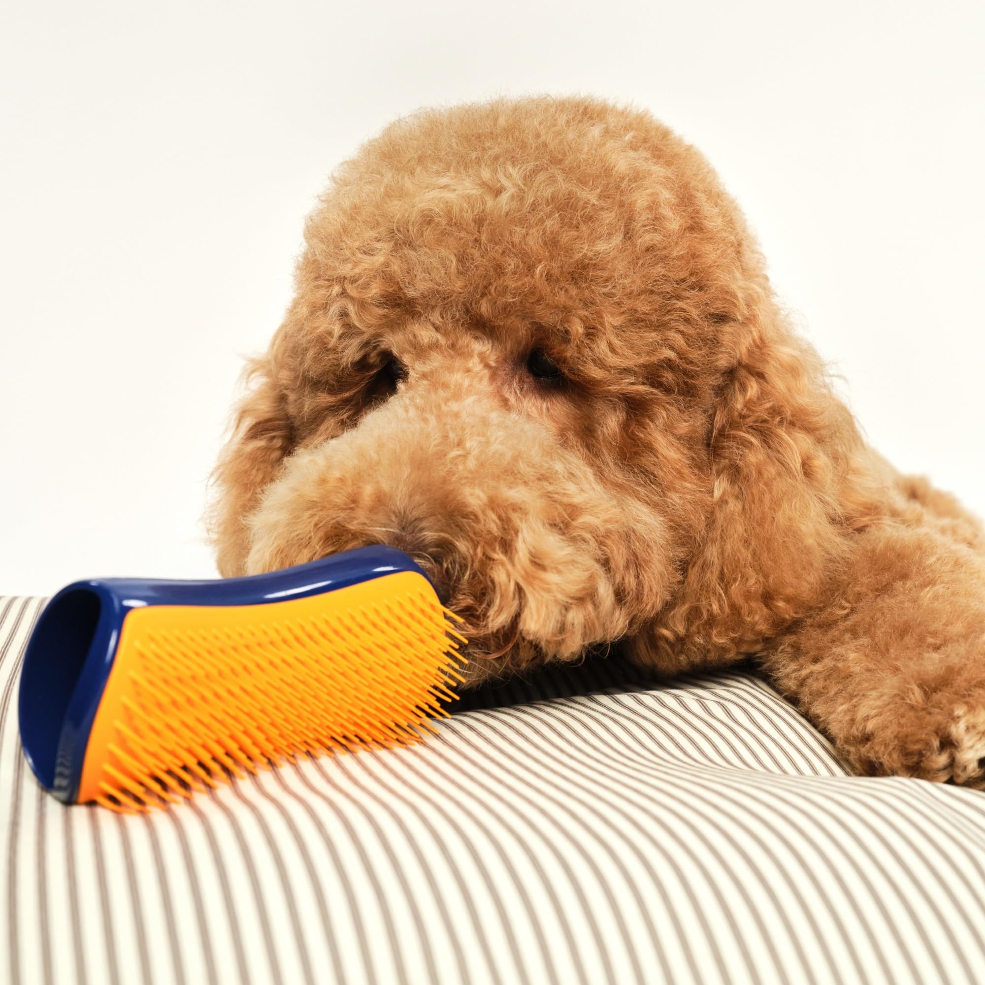 tangle-teezer-pet-teezer-grande-brosse-d-m-lante-chien-bleu-marine-et-orange image 7