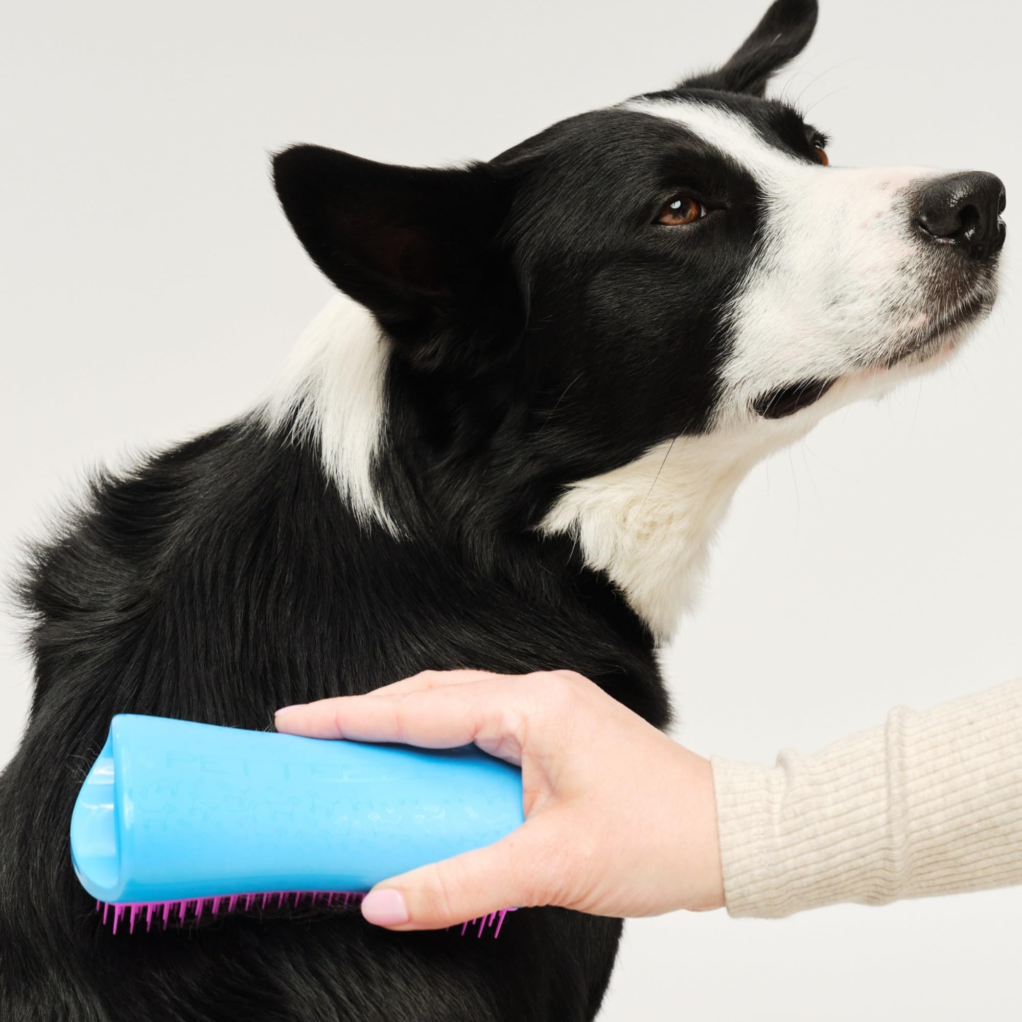 tangle-teezer-pet-teezer-grande-brosse-toilettage-chien-bleu-et-rose image 3