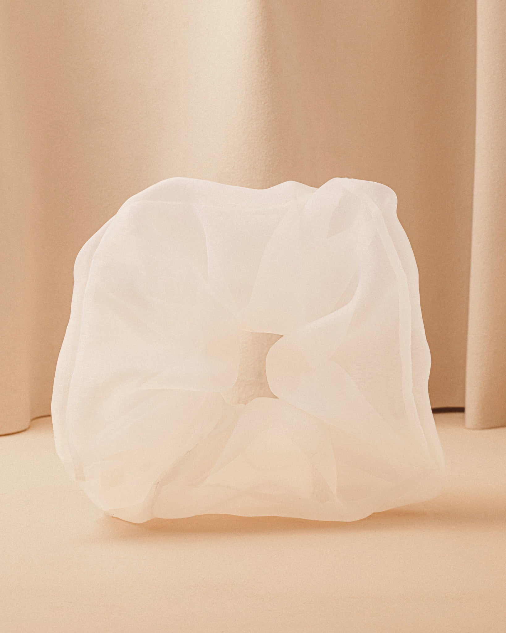 donatelle-godart-x-la-bonne-brosse-le-grand-chouchou-organza image 1