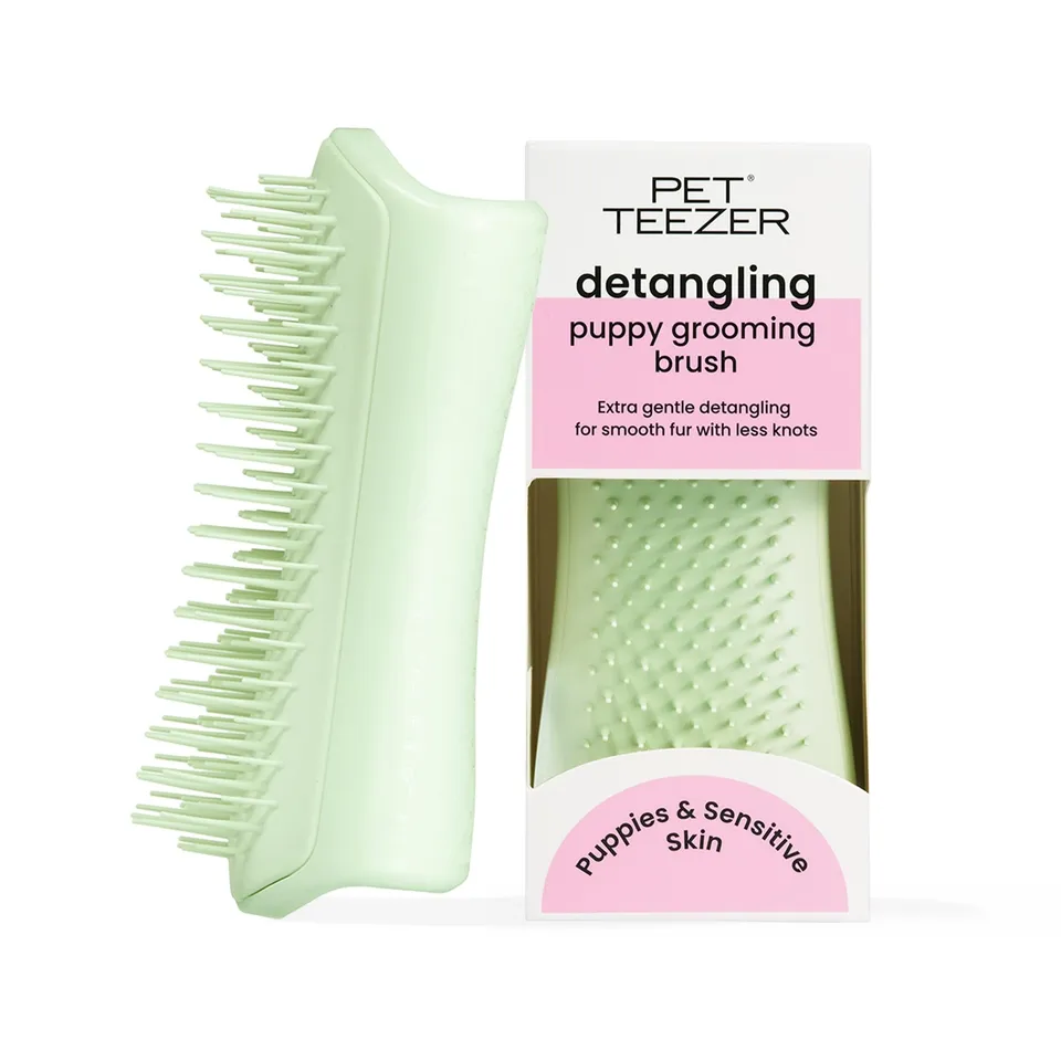 tangle-teezer-pet-teezer-puppy-brosse-de-toilettage-pour-chiot-peau-sensible-men image 1