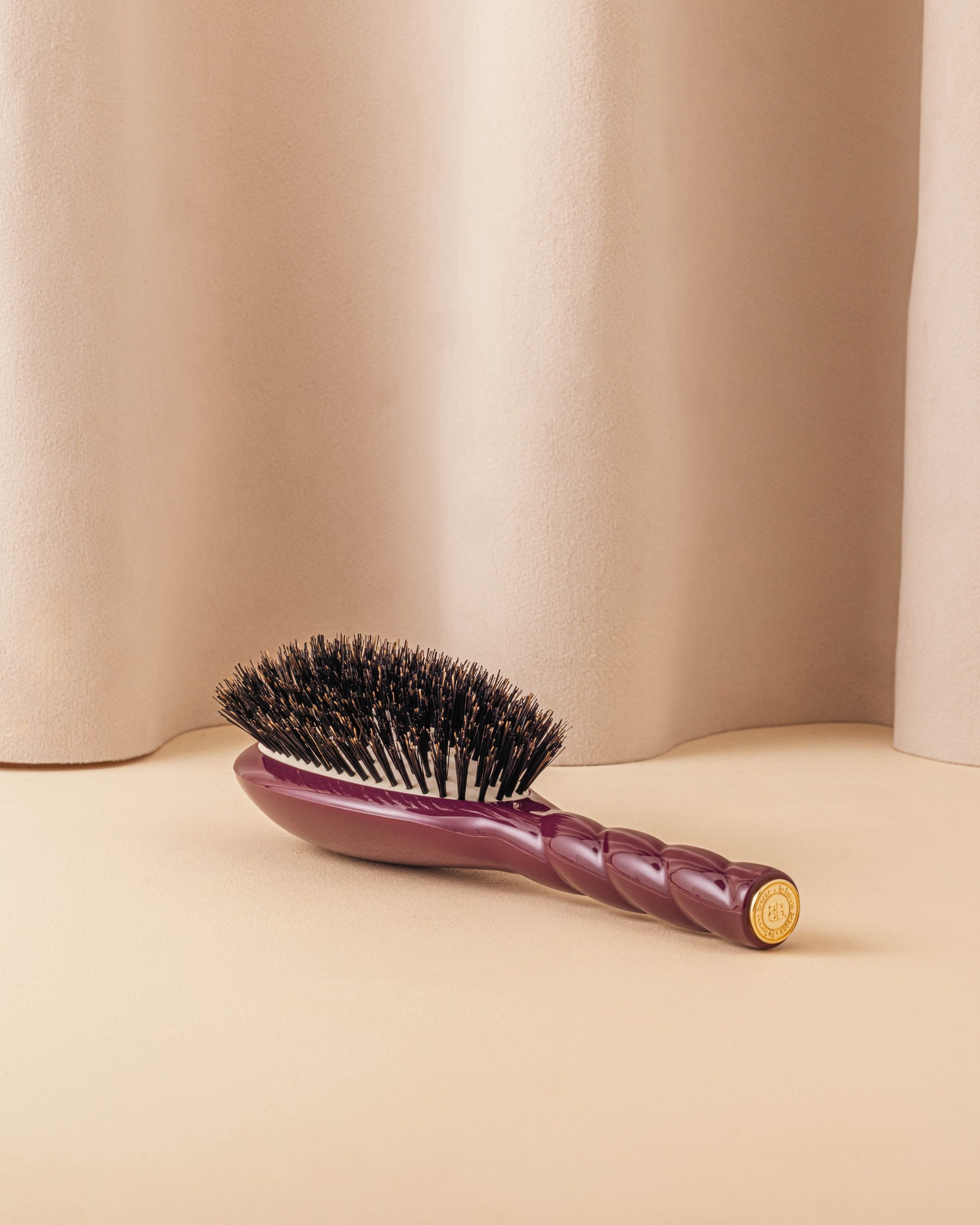 la-bonne-brosse-n-01-la-brosse-brillance-soin-l-universelle-aubergine-grande-21- image 5