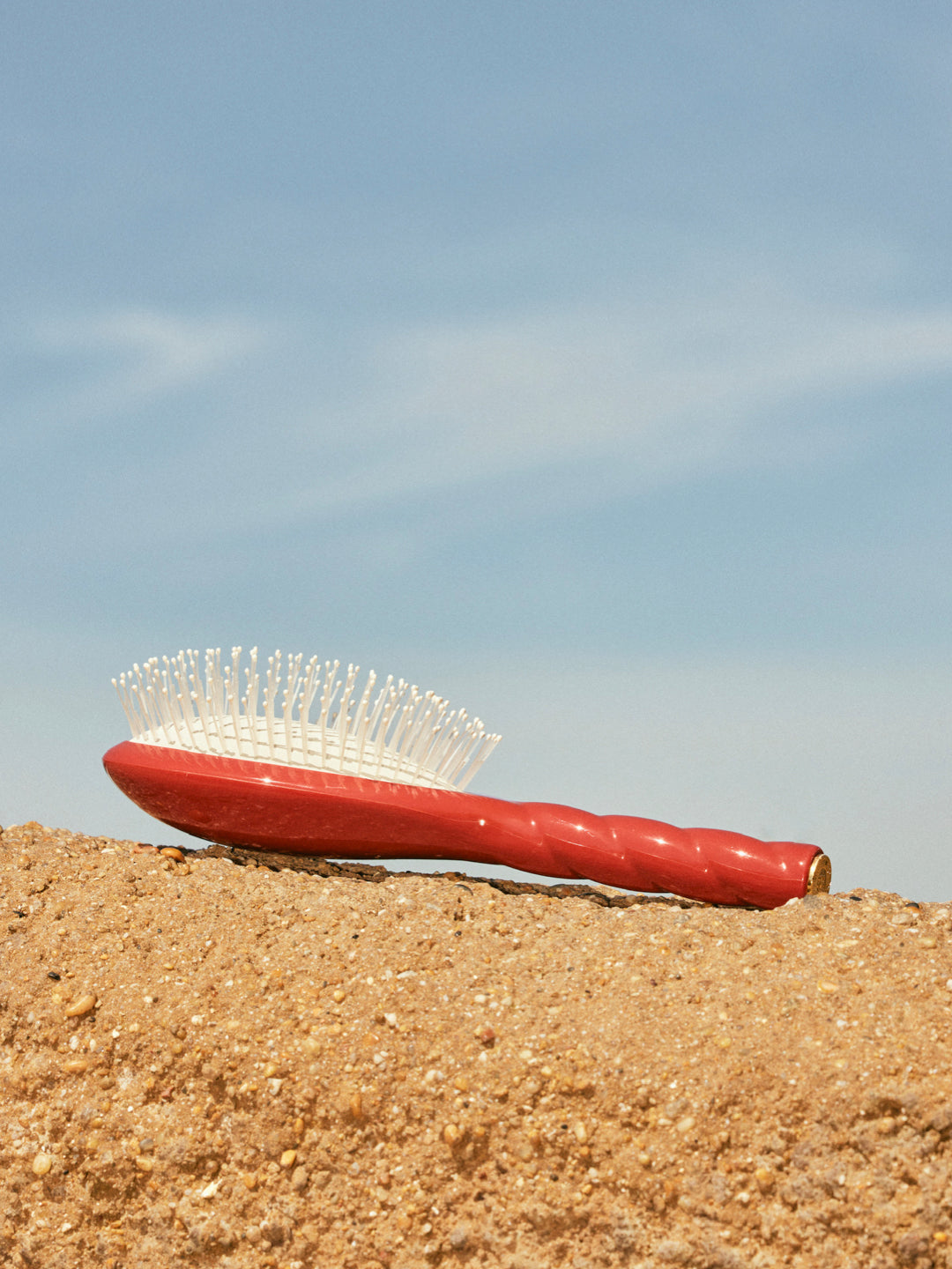 la-bonne-brosse-n-04-la-brosse-d-m-lante-massante-la-miracle-terre-battue image 6