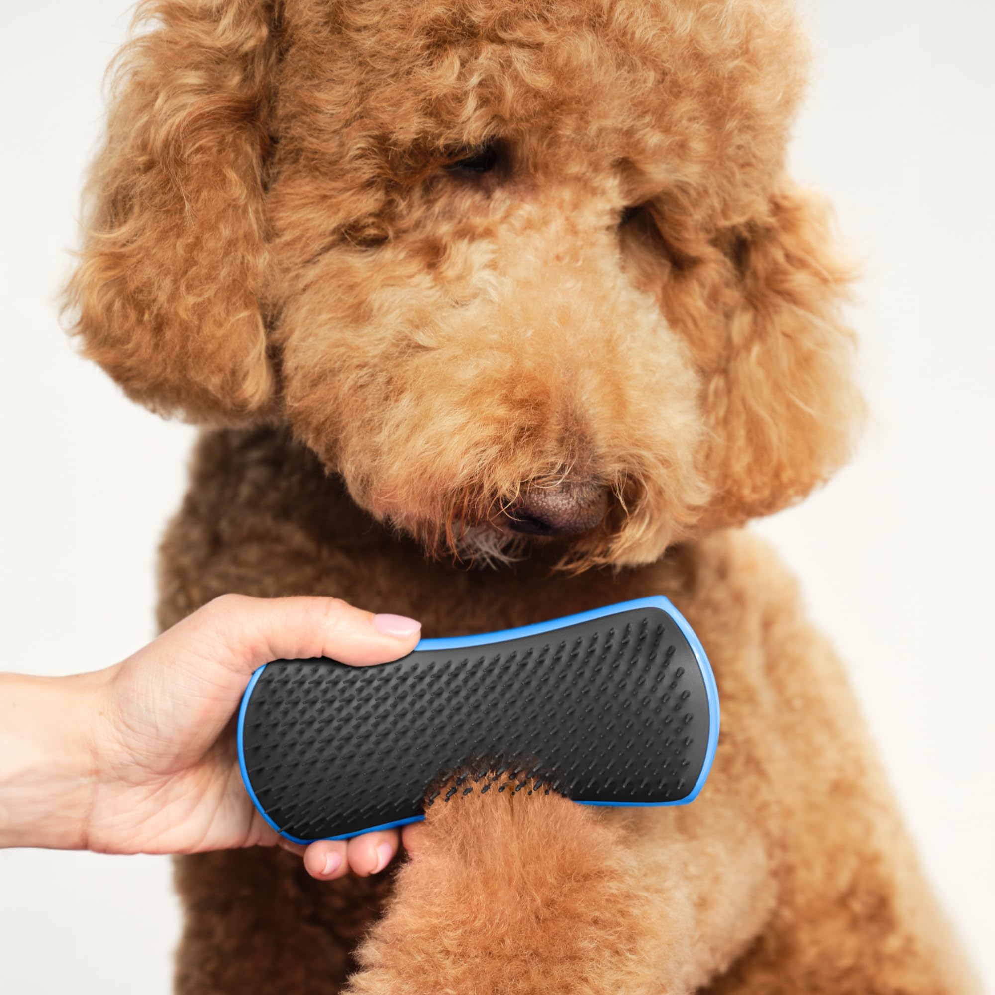tangle-teezer-pet-teezer-brosse-d-m-lante-chien-bleu-bleuet-sec-et-bain image 3