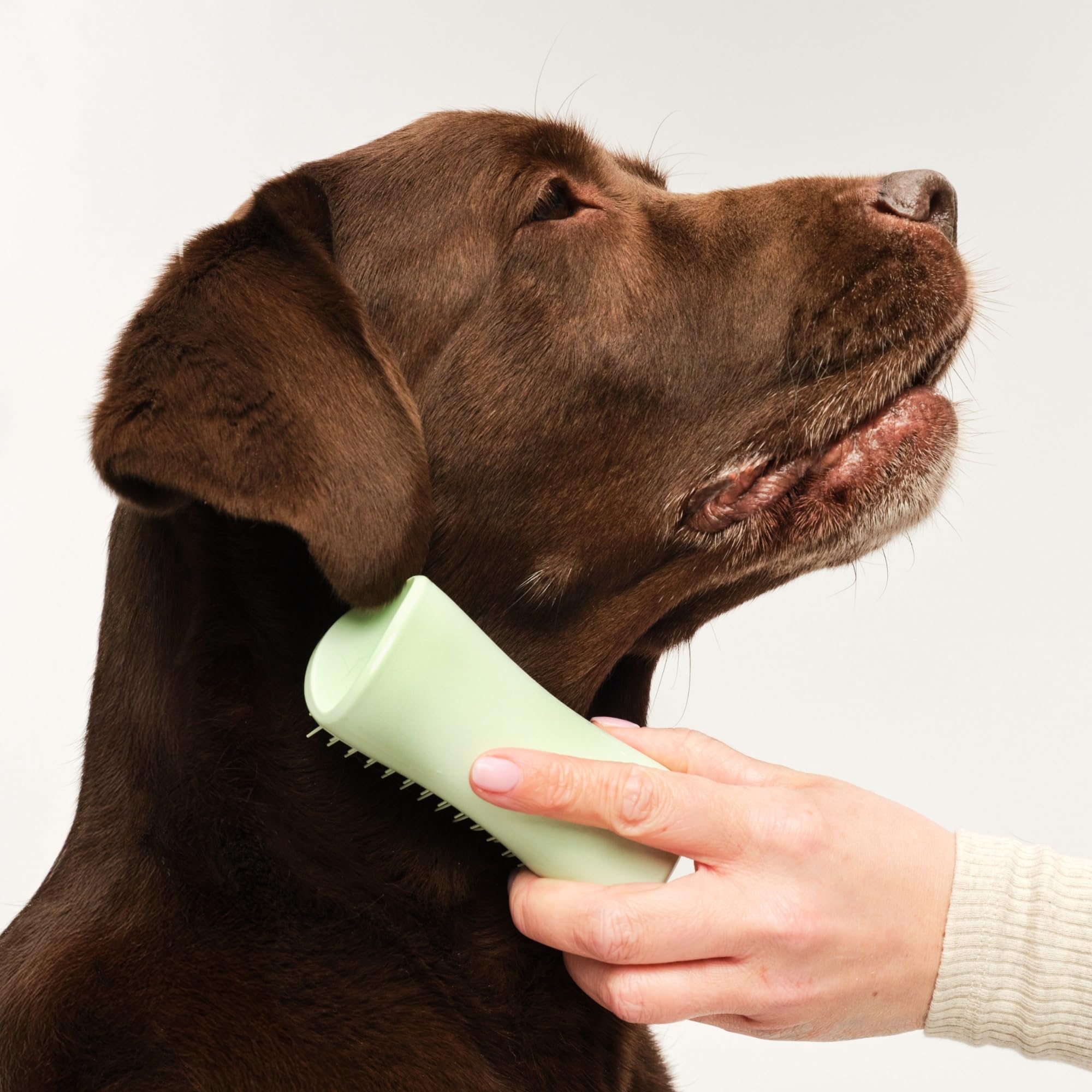 tangle-teezer-pet-teezer-puppy-brosse-de-toilettage-pour-chiot-peau-sensible-men image 3