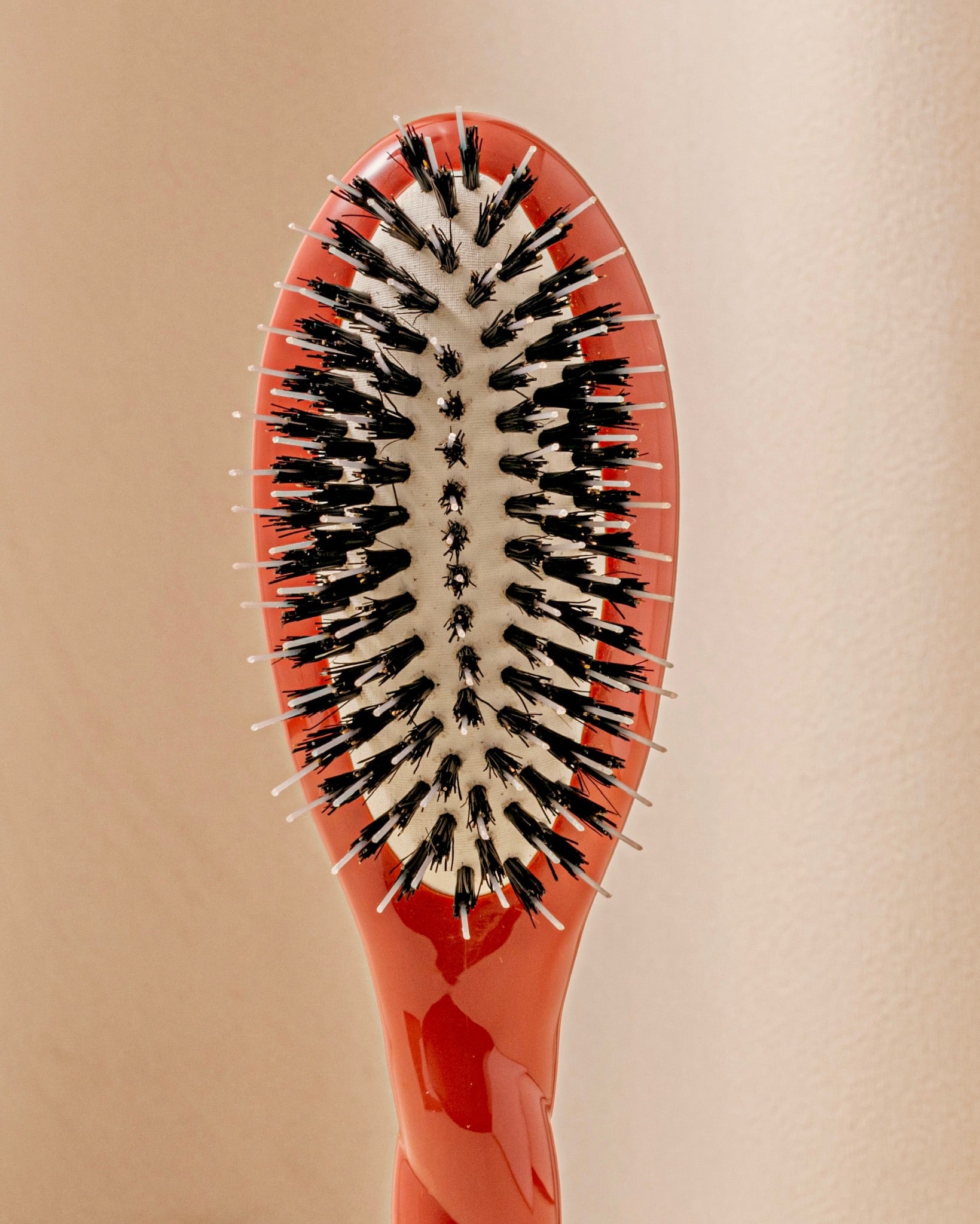 la-bonne-brosse-n-02-la-petite-brosse-d-m-lante-soin-l-indispensable-terre-battu image 4