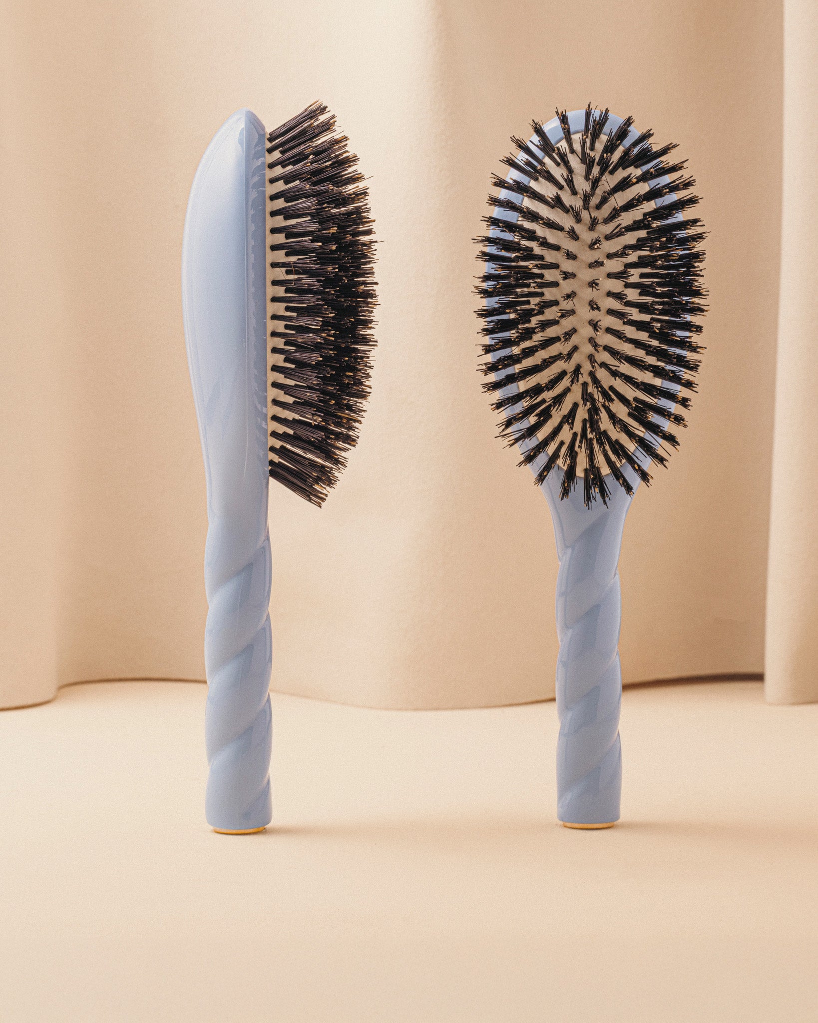 la-bonne-brosse-n-01-la-brosse-brillance-soin-l-universelle-bleu-ciel image 1